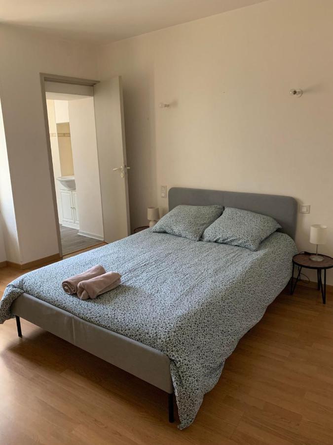 Ravissant Appartement T3 Hypercentre De Mazamet ภายนอก รูปภาพ